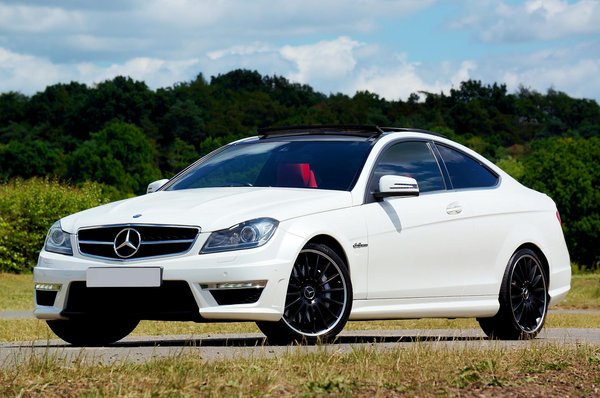 Hoe beïnvloeden klimaatveranderingen de leefgebieden van dieren?